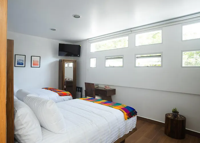La Casa Del Mural - Condesa Guest house 3*