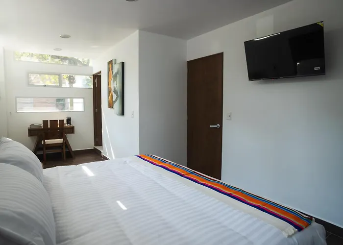 La Casa Del Mural - Condesa