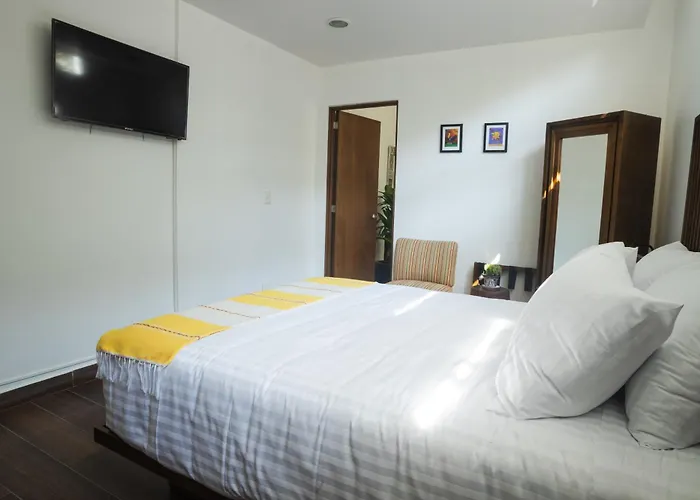La Casa Del Mural - Condesa Guest house 3*